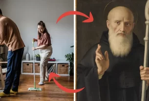 Regras de organização da casa